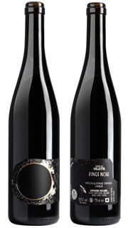 Pinot Noir 2020 Villette Grand Cru, Lavaux A.O.C. - DEMETER